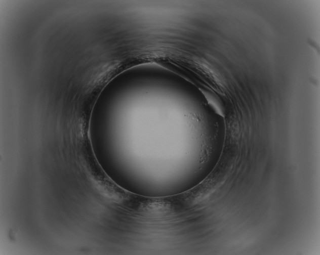 X0000093480546200710121448
