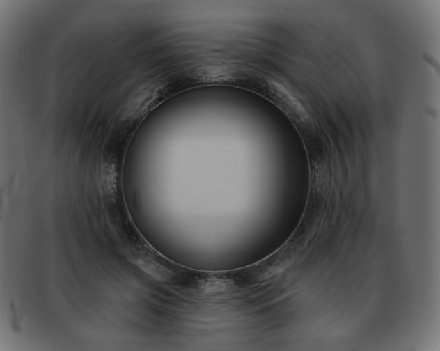 X0000093480549200710121448