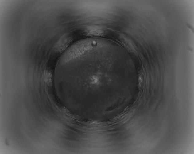 X0000093480551200710121448