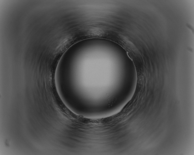 X0000093480552200710121448