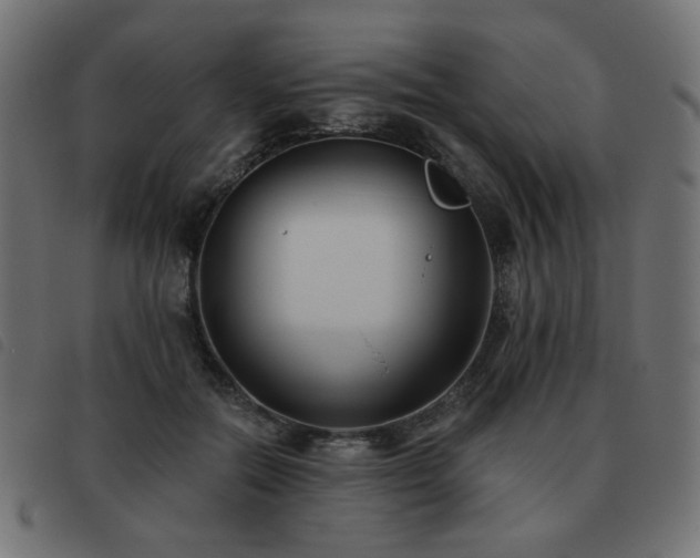 X0000093480554200710121448