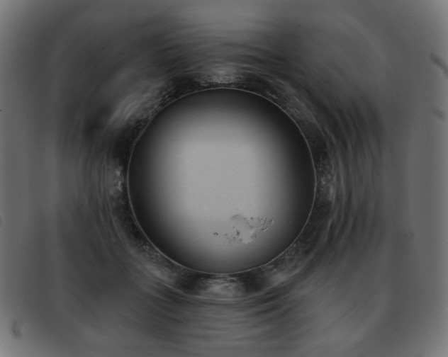 X0000093480555200710121448
