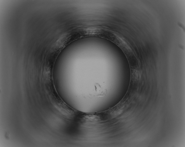 X0000093480557200710121448