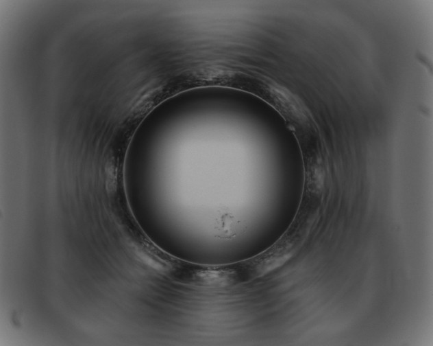 X0000093480558200710121448
