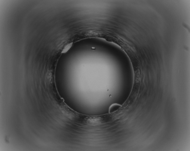 X0000093480560200710121448