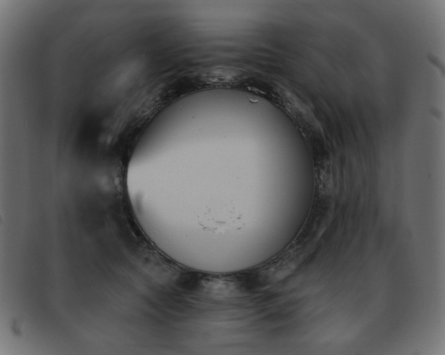 X0000093480561200710121448