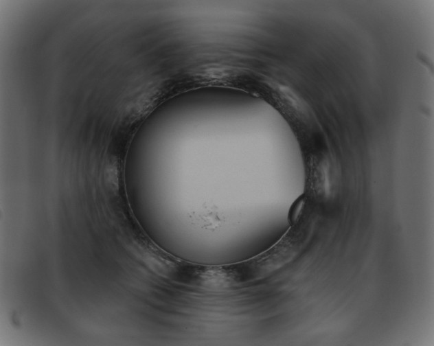 X0000093480562200710121448