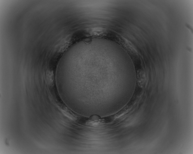 X0000093480563200710121448