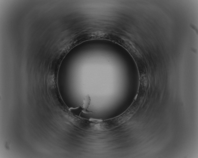 X0000093480564200710121448