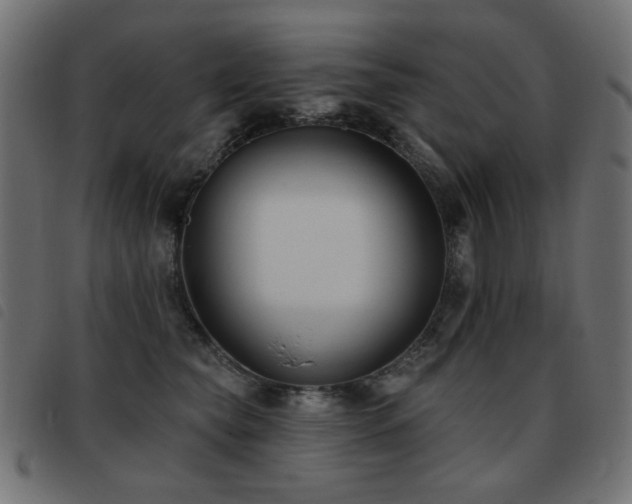 X0000093480565200710121448