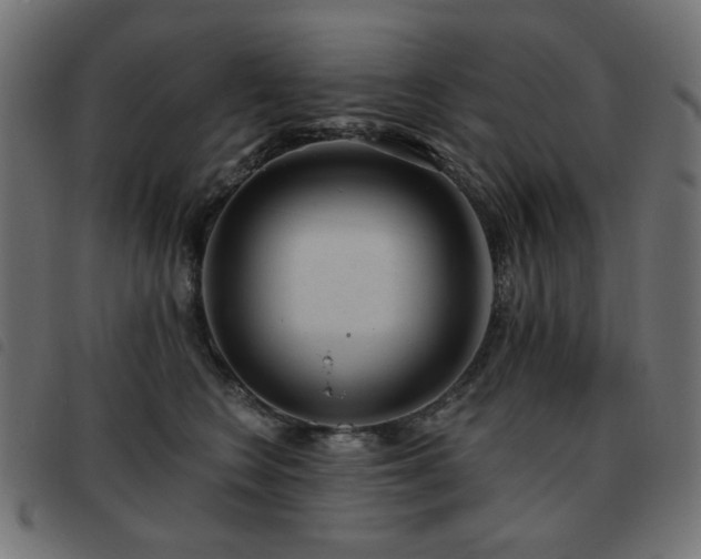 X0000093480566200710121448