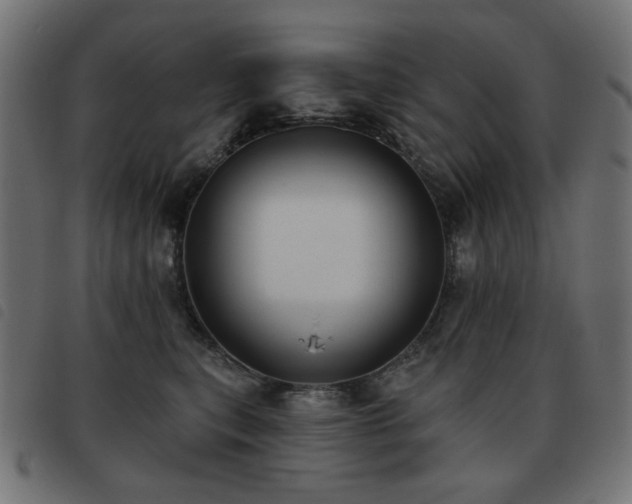 X0000093480567200710121448
