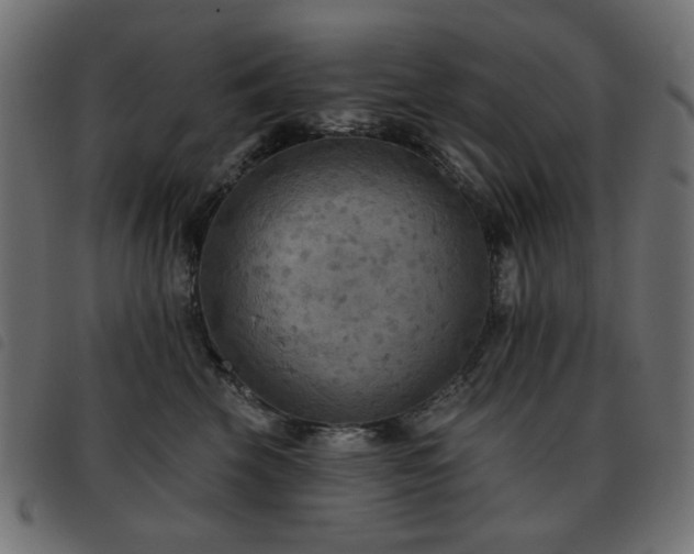 X0000093480569200710121448
