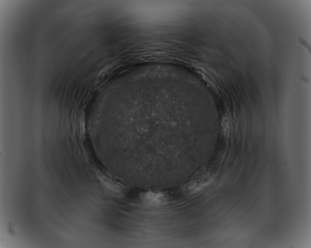 X0000093480570200710121448