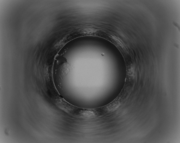 X0000093480572200710121448
