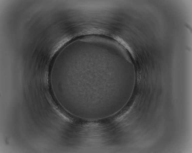 X0000093480581200710121447