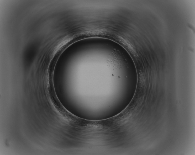X0000093480582200710121447