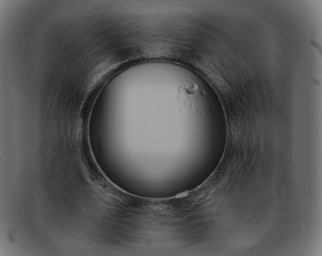 X0000093480583200710121447