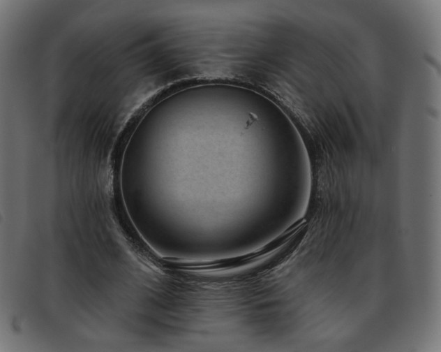X0000093480584200710121447