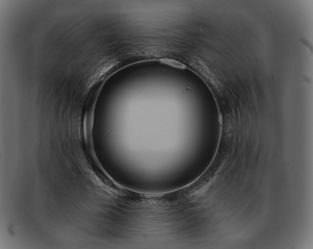 X0000093480585200710121447