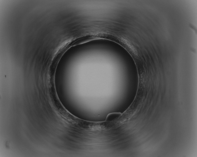 X0000093480587200710121447