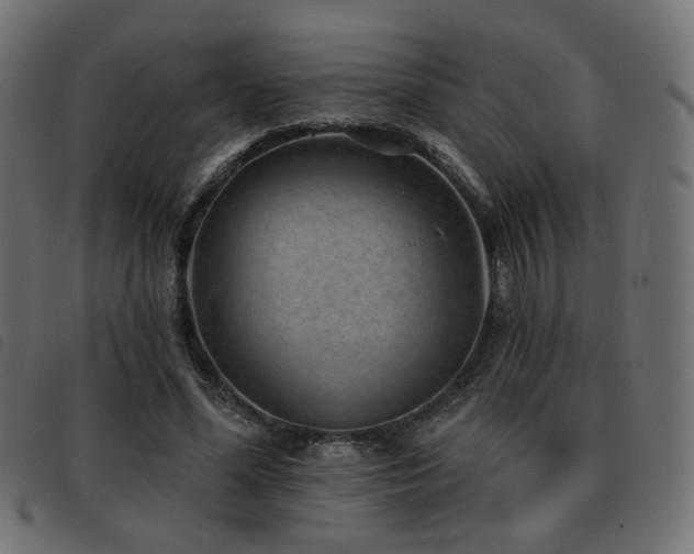 X0000093480588200710121447