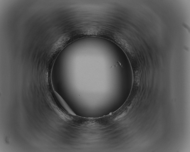 X0000093480589200710121447