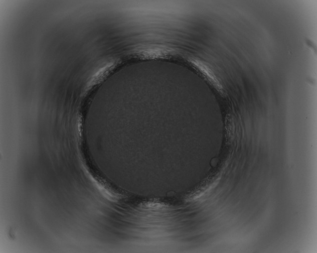 X0000093480590200710121447