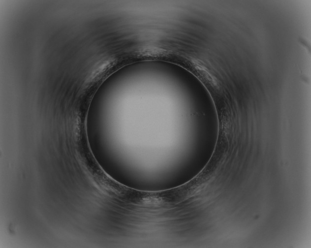 X0000093480591200710121447