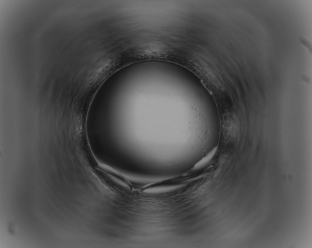 X0000093480593200710121447