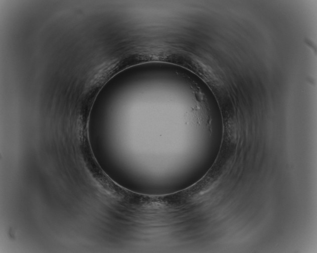 X0000093480594200710121447