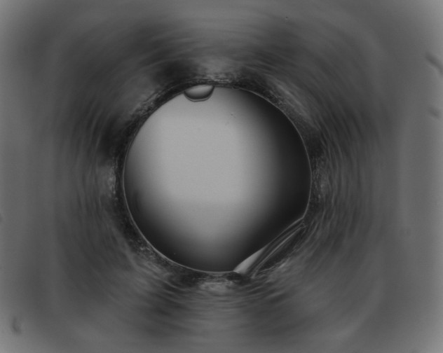X0000093480595200710121447