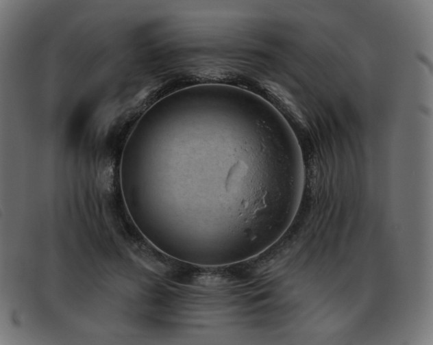 X0000093480596200710121447