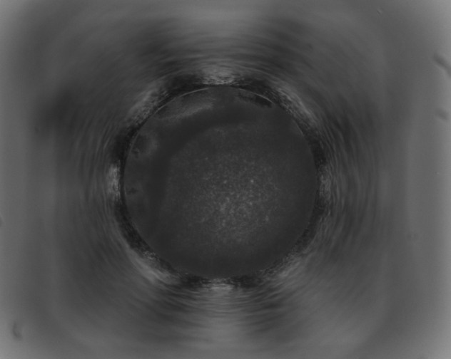 X0000093480598200710121447