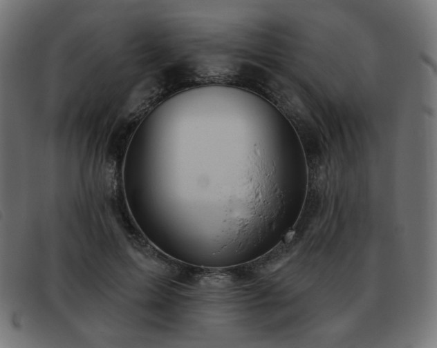 X0000093480599200710121447
