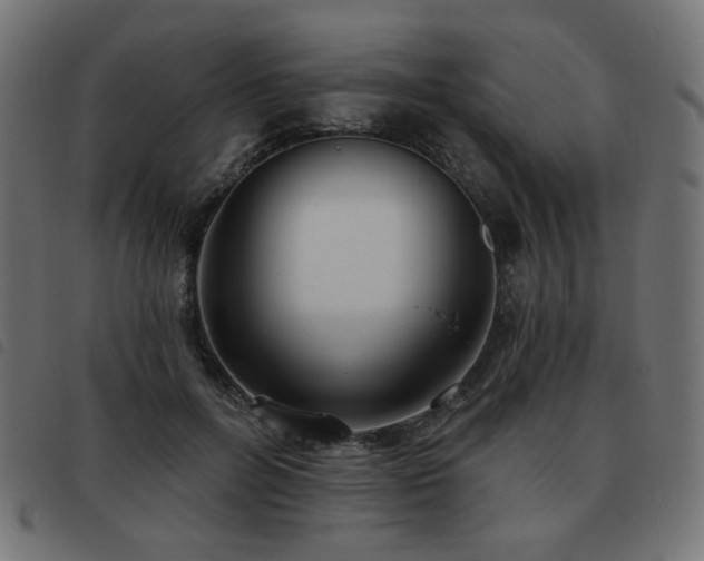X0000093480600200710121447