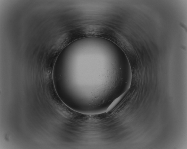 X0000093480601200710121447