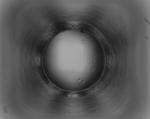 X0000093480602200710121447