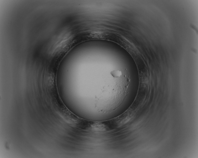 X0000093480603200710121447