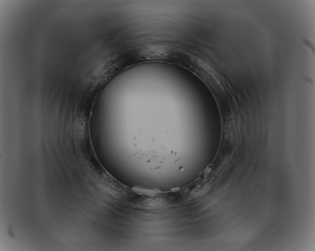 X0000093480604200710121447