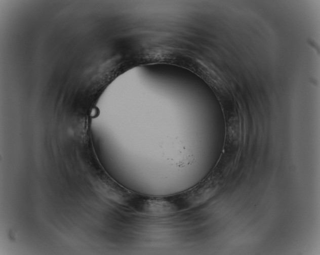 X0000093480605200710121447
