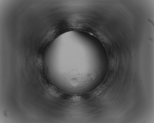 X0000093480609200710121447