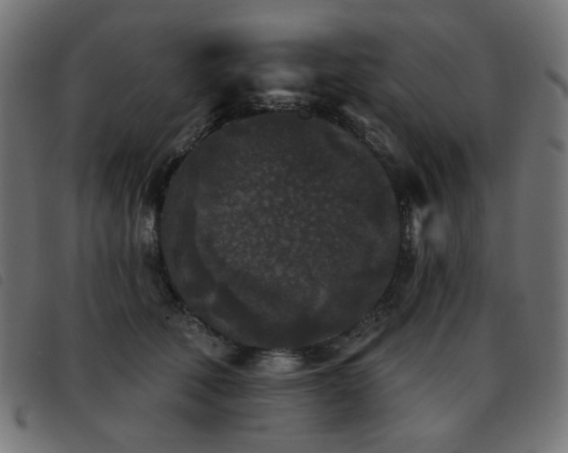 X0000093480610200710121447