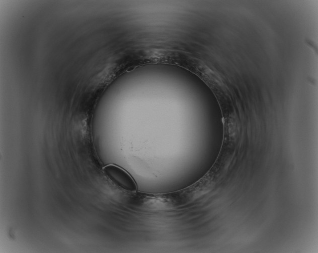 X0000093480611200710121447
