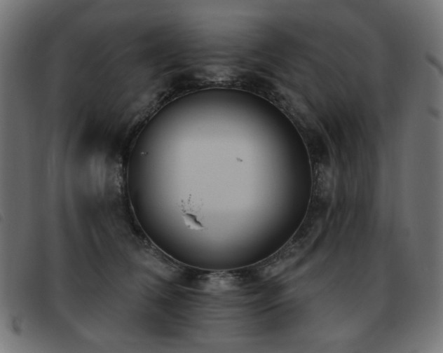 X0000093480612200710121447