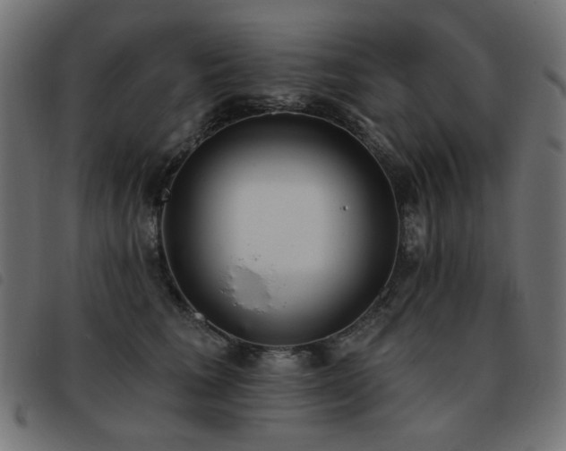 X0000093480613200710121447