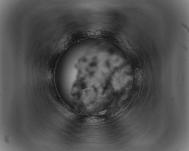 X0000093480614200710121447