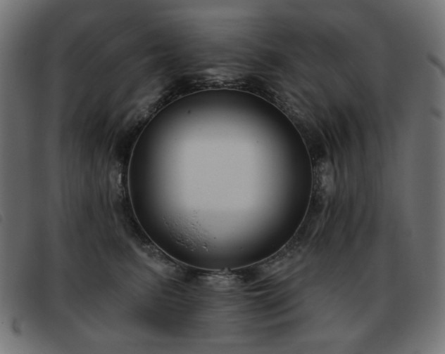 X0000093480615200710121447