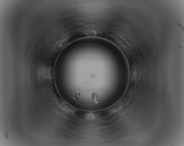 X0000093480616200710121447