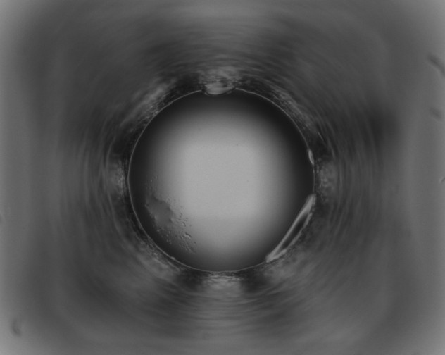 X0000093480617200710121447